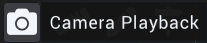 Camera Playback Icon